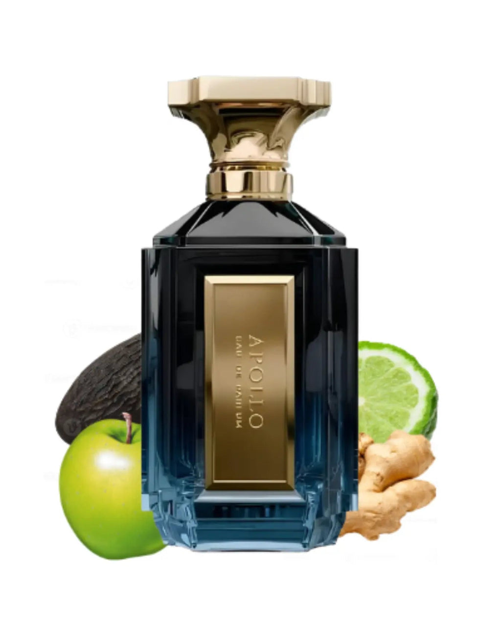 Velixir Apolo Velixir Apollo kopen? Shop nu – FragranceGems