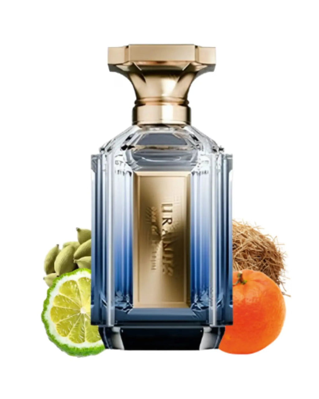 Velixir Uranus Note Velixir Uranus kopen? Shop nu – FragranceGems