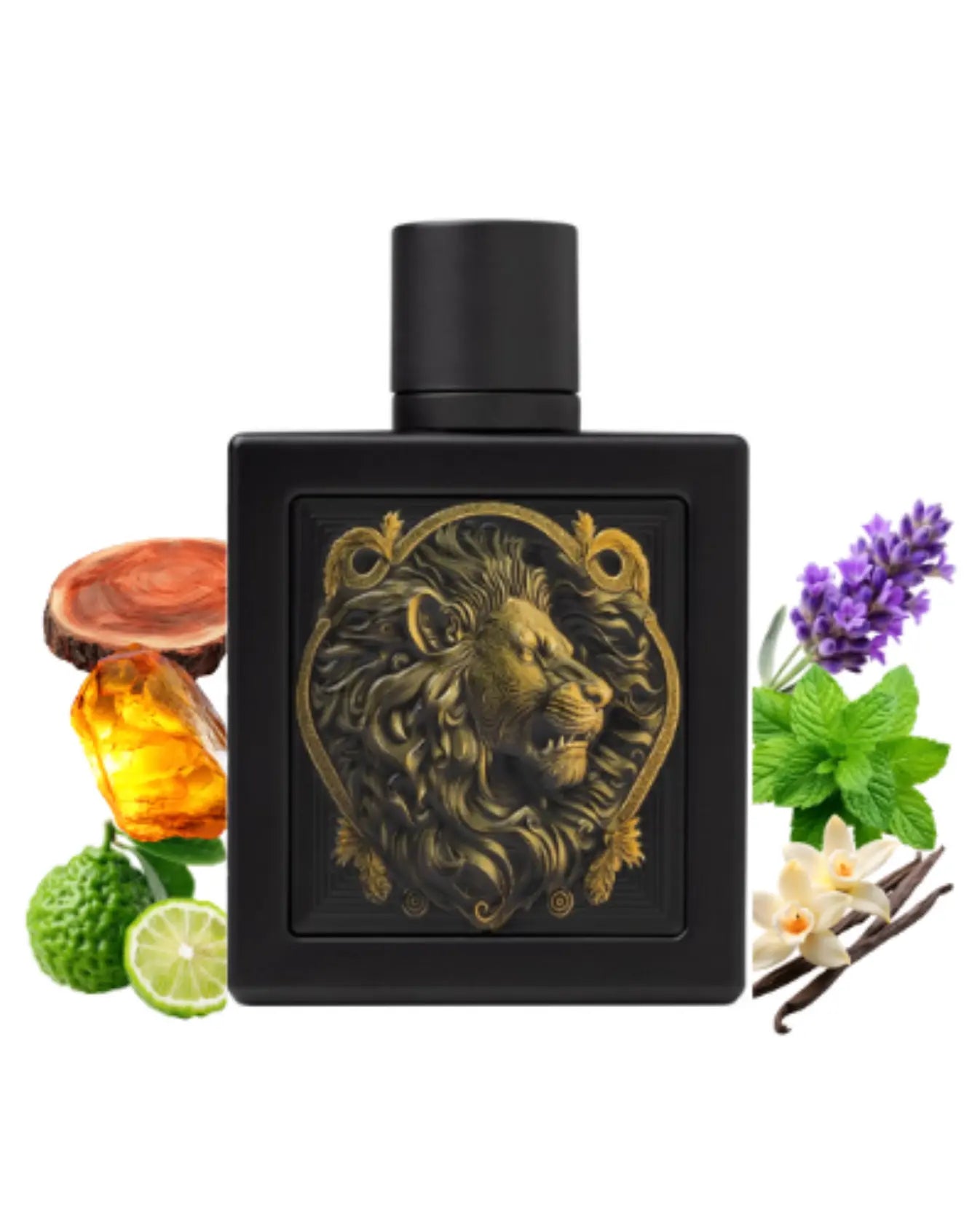 Rayhaan Lion (100ml) - Eau de Parfum - FragranceGems Rayhaan