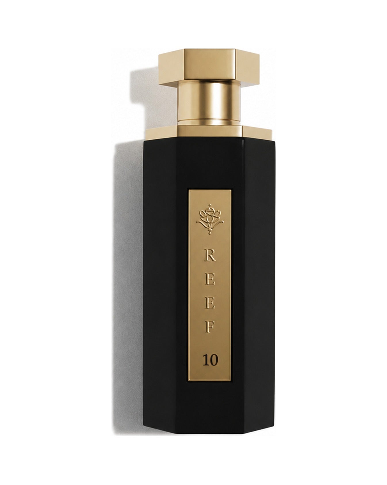 Reef 10 100ml