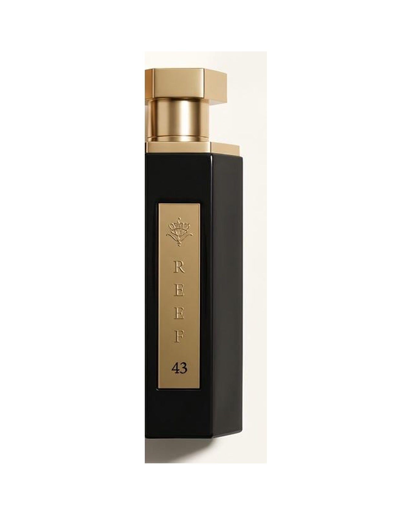 Reef 43 100ml